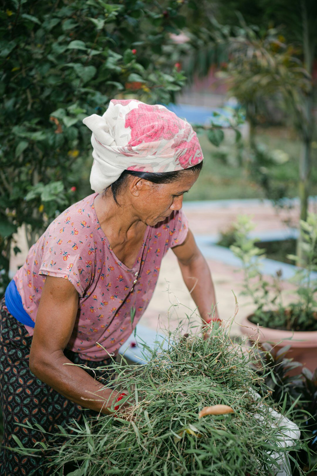 elderly people gardening